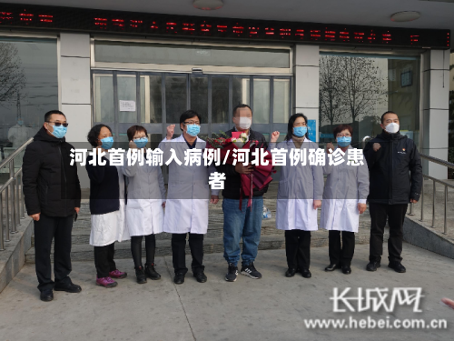 河北首例输入病例/河北首例确诊患者-第2张图片