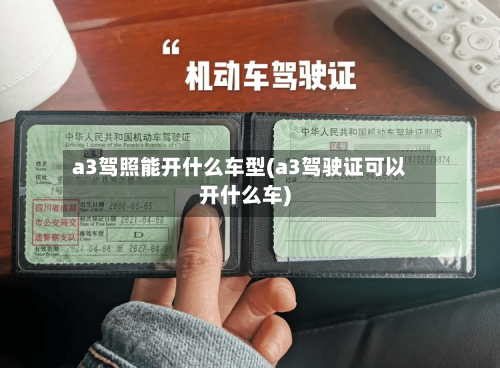 a3驾照能开什么车型(a3驾驶证可以开什么车)-第2张图片