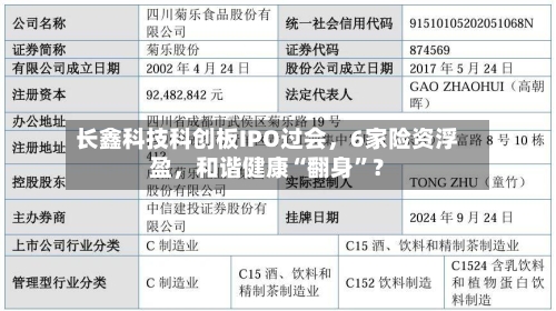 长鑫科技科创板IPO过会，6家险资浮盈，和谐健康“翻身”？