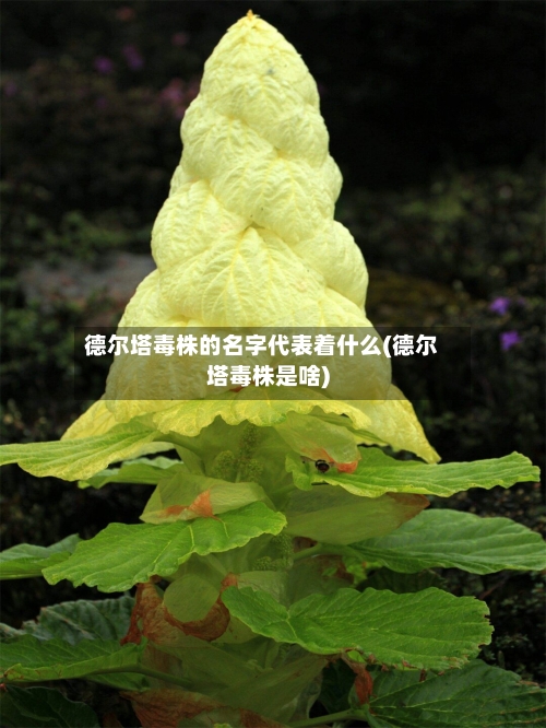 德尔塔毒株的名字代表着什么(德尔塔毒株是啥)