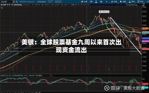美银:全球股票基金九周以来首次出现资金流出-第2张图片
