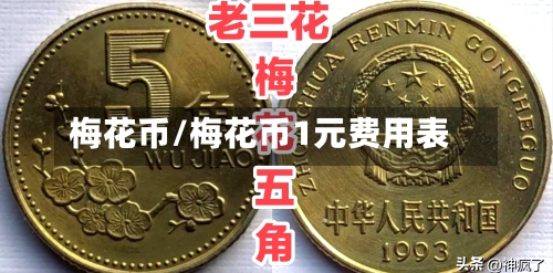 梅花币/梅花币1元费用表