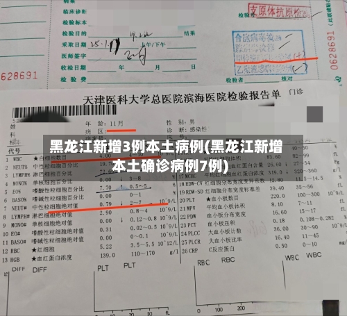 黑龙江新增3例本土病例(黑龙江新增本土确诊病例7例)
