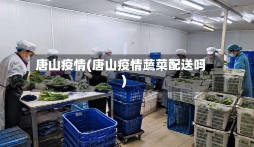 唐山疫情(唐山疫情蔬菜配送吗)