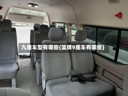 九座车型有哪些(蓝牌9座车有哪些)
