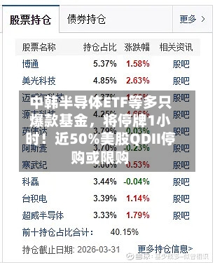 中韩半导体ETF等多只爆款基金,将停牌1小时!近50%美股QDII停购或限购