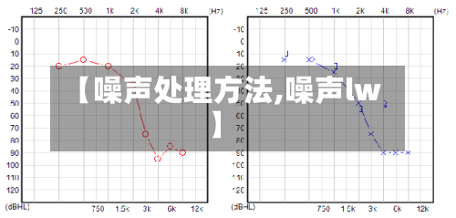 【噪声处理方法,噪声lw】