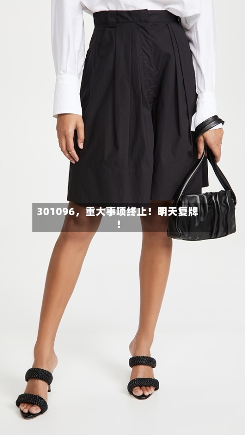 301096，重大事项终止！明天复牌！-第3张图片