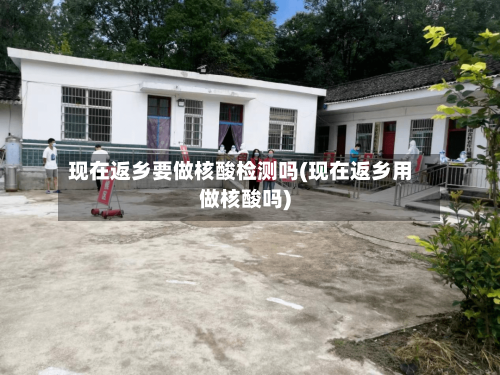现在返乡要做核酸检测吗(现在返乡用做核酸吗)-第3张图片