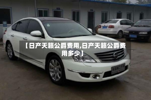 【日产天籁公爵费用,日产天籁公爵费用多少】