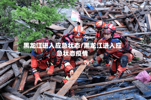 黑龙江进入应急状态/黑龙江进入应急状态疫情-第3张图片