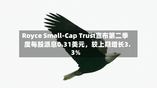 Royce Small-Cap Trust宣布第二季度每股派息0.31美元，较上期增长3.3%-第2张图片