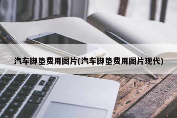 汽车脚垫费用图片(汽车脚垫费用图片现代)