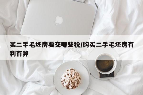 买二手毛坯房要交哪些税/购买二手毛坯房有利有弊