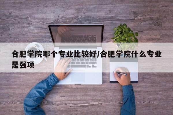 合肥学院哪个专业比较好/合肥学院什么专业是强项